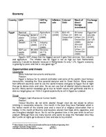 Kutatási anyagok 'Liqueur Brand "Coebergh" Penetrate a Foreign Market', 25.                