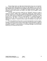 Kutatási anyagok 'Liqueur Brand "Coebergh" Penetrate a Foreign Market', 40.                