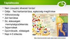 Prezentációk 'Egészségkultúra - Egészséges életmód', 3.                