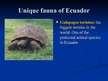 Prezentációk 'Ecuador', 8.                