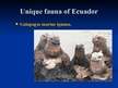 Prezentációk 'Ecuador', 9.                