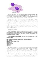 Összefoglalók, jegyzetek 'Cellular Phones', 2.                