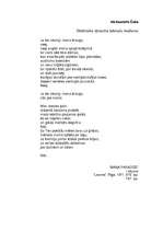 Összefoglalók, jegyzetek 'A.Čaka "Strēlnieka dziesma latviešu meitenei"', 2.                