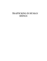 Kutatási anyagok 'Trafficking in Human Beings', 1.                