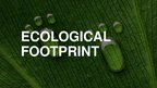 Prezentációk 'Ecological Footprint', 1.                