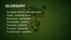 Prezentációk 'Ecological Footprint', 3.                