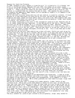 Esszék 'Reasons for Gun Violence', 1.                