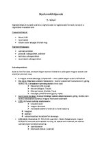 Összefoglalók, jegyzetek 'Érettségi tétel, nyelvemlék típusok', 1.                