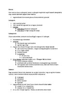 Összefoglalók, jegyzetek 'Érettségi tétel, nyelvemlék típusok', 2.                