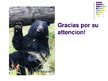 Prezentációk 'Los dos amigos y el oso', 14.                