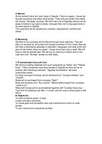 Üzleti tervek '"Senleja", Ltd.', 2.                