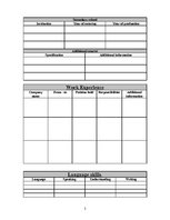 Minták 'Curriculum Vitae Form', 2.                