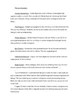 Összefoglalók, jegyzetek 'Report on "Law of Three Denials" by Alexandra Marinina', 2.                