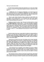 Esszék 'The US Educational System', 2.                