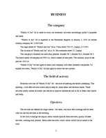 Üzleti tervek 'Business Plan Content', 2.                