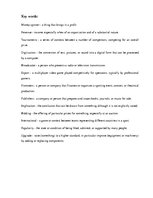 Esszék 'Sports Digitization', 2.                