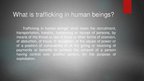 Prezentációk 'Human Trafficking', 4.                