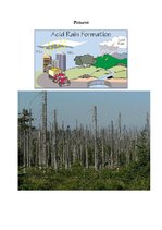 Esszék 'Acid Rain', 3.                