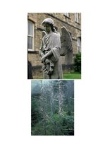 Esszék 'Acid Rain', 4.                