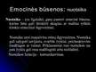 Prezentációk 'Emocijos', 12.                