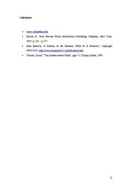 Kutatási anyagok 'Film Analysis on "Dirty Dancing Havana Nights"', 12.                