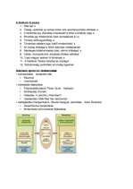 Összefoglalók, jegyzetek 'Magyarország részletes történelme 1790 és 1848 között', 6.                