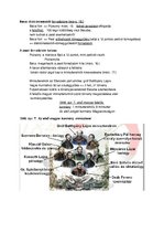 Összefoglalók, jegyzetek 'Magyarország részletes történelme 1790 és 1848 között', 17.                