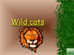 Prezentációk 'Wild Cats', 1.                