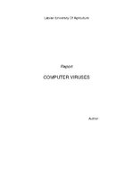 Összefoglalók, jegyzetek 'Computer Viruses', 1.                