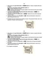 Összefoglalók, jegyzetek 'Consonants Phonetics', 3.                