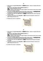 Összefoglalók, jegyzetek 'Consonants Phonetics', 5.                