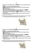 Összefoglalók, jegyzetek 'Consonants Phonetics', 6.                