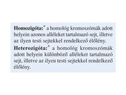 Prezentációk 'Egy gén által meghatározott tulajdonság öröklődése', 4.                