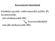 Prezentációk 'Egy gén által meghatározott tulajdonság öröklődése', 6.                