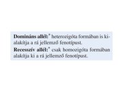 Prezentációk 'Egy gén által meghatározott tulajdonság öröklődése', 12.                