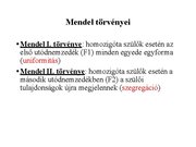 Prezentációk 'Egy gén által meghatározott tulajdonság öröklődése', 17.                