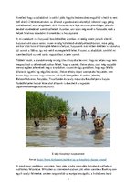 Esszék 'A kutyabarát és akadálymentes turizmus', 3.                