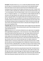 Összefoglalók, jegyzetek 'Report on Raccoon', 1.                