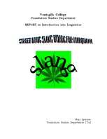 Kutatási anyagok 'Street Drug Slang Words for Marijuana', 1.                