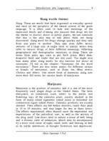 Kutatási anyagok 'Street Drug Slang Words for Marijuana', 4.                