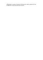 Összefoglalók, jegyzetek 'St. Peter`s Church, the Evangelical Church and Ensemble of Cloisters "Rīgas Doms', 2.                