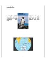 Kutatási anyagok 'Penguins', 2.                