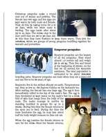 Kutatási anyagok 'Penguins', 6.                