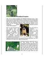 Kutatási anyagok 'Penguins', 8.                