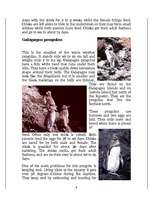 Kutatási anyagok 'Penguins', 9.                