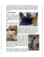 Kutatási anyagok 'Penguins', 10.                