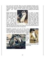 Kutatási anyagok 'Penguins', 16.                