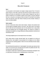 Kutatási anyagok 'Project B. Strategic Analysis of Plum AS', 3.                