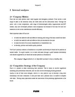 Kutatási anyagok 'Project B. Strategic Analysis of Plum AS', 7.                