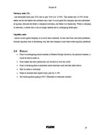 Kutatási anyagok 'Project B. Strategic Analysis of Plum AS', 17.                